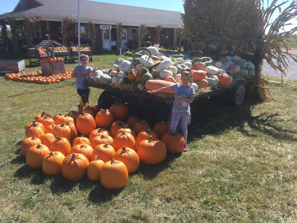 22050037_1223925317706966_7086728670692182209_n Children standing beside a display of pumpkins and gourds at a pumpkin patch on a sunny day, with a farm store in the background. The scene captures the essence of fall harvest activities, showcasing vibrant orange pumpkins and a variety of colorful squash.