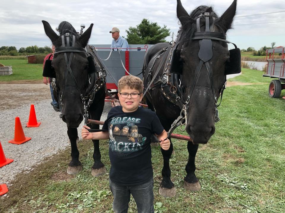 42797510_1591696310929863_2167533633374519296_n A young boy stands between two large black horses, holding their reins, at an outdoor farm event. In the background, a man prepares a wagon while orange traffic cones line the gravel path, and green grass surrounds the scene.