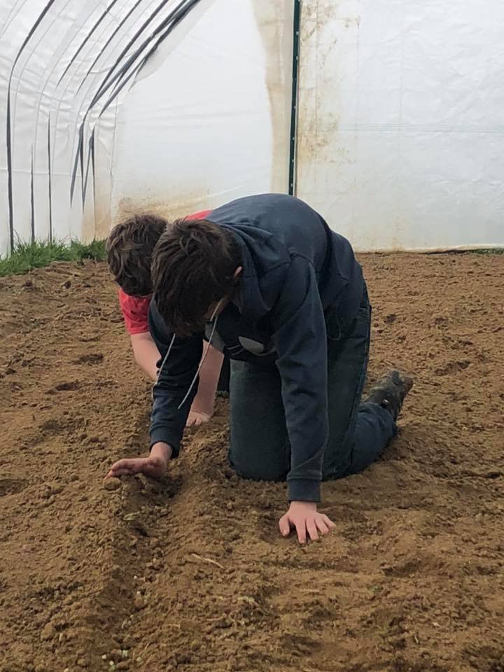 90618756_2475644015868417_5396018935839588352_n Two individuals kneeling in a greenhouse, planting seeds in freshly tilled soil, demonstrating hands-on gardening skills and agricultural practices.